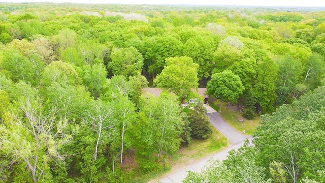 30202 Shady Ln, Detroit Lakes, MN 56501 - bird's eye view of a heavily wooded area