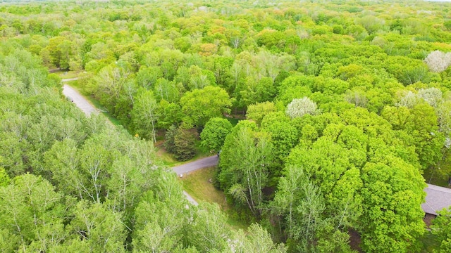 30202 Shady Ln, Detroit Lakes, MN 56501 - aerial view of a heavily wooded area