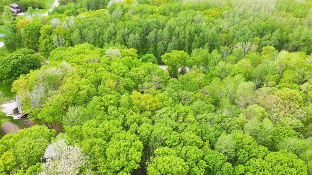 30202 Shady Ln, Detroit Lakes, MN 56501 - bird's eye view of a forest