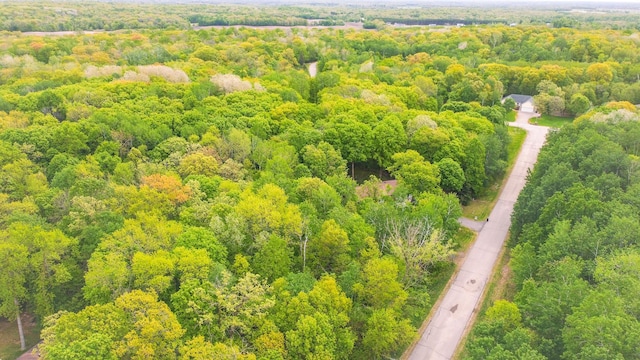 30202 Shady Ln, Detroit Lakes, MN 56501 - bird's eye view of a forest