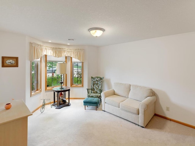 1232 Cypress Dr W, Annandale, MN 55302 - living area with carpet floors, baseboards, and a textured ceiling