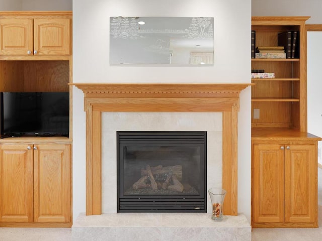 1232 Cypress Dr W, Annandale, MN 55302 - detailed view of a premium fireplace