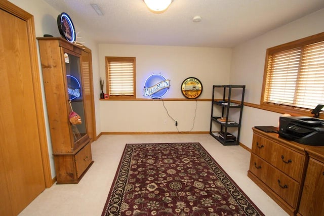 124 Waynesborough Way, Mankato, MN 56001 - office area featuring healthy amount of natural light, baseboards, and light colored carpet