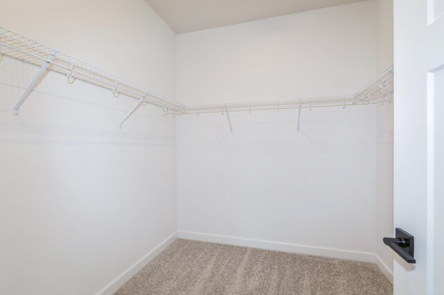 11454 Fieldstone Dr, Rogers, MN 55311 - walk in closet featuring carpet flooring