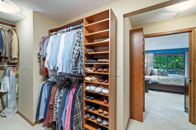 9378 Olympia Dr, Eden Prairie, MN 55347 - walk in closet with carpet flooring