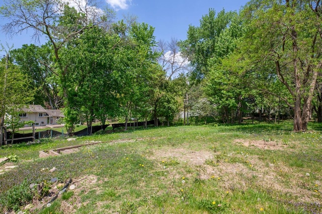 3633 Robinwood Ter, Minnetonka, MN 55305 - view of yard featuring view of wooded area
