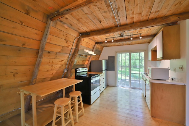 28435 392nd St, Browerville, MN 56438 - kitchen with electric range, wooden ceiling, under cabinet range hood, rail lighting, and light wood-type flooring