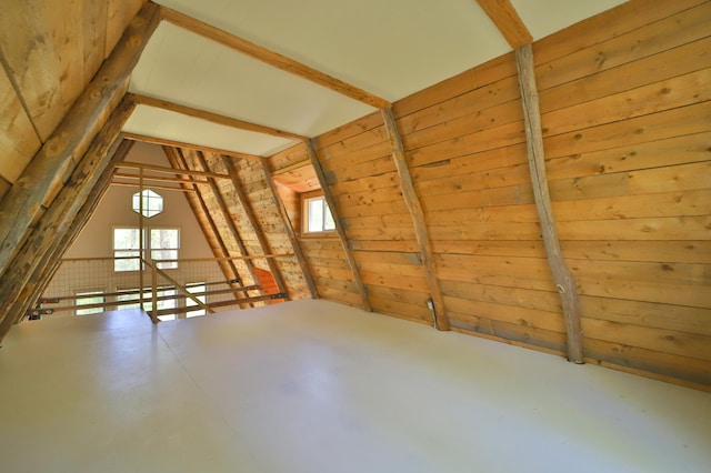 28435 392nd St, Browerville, MN 56438 - bonus room with finished concrete floors, plenty of natural light, vaulted ceiling, and wooden walls