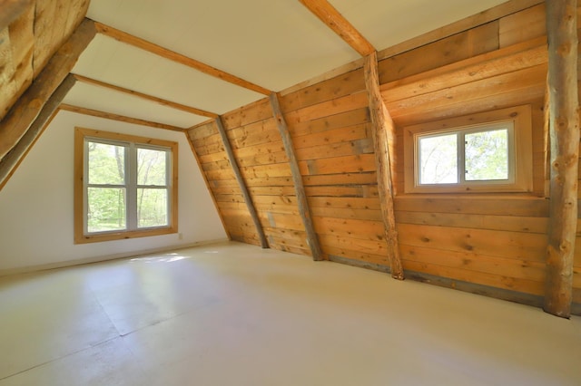 28435 392nd St, Browerville, MN 56438 - bonus room with vaulted ceiling