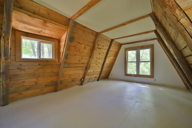 28435 392nd St, Browerville, MN 56438 - bonus room with healthy amount of natural light, lofted ceiling, wood walls, and concrete flooring