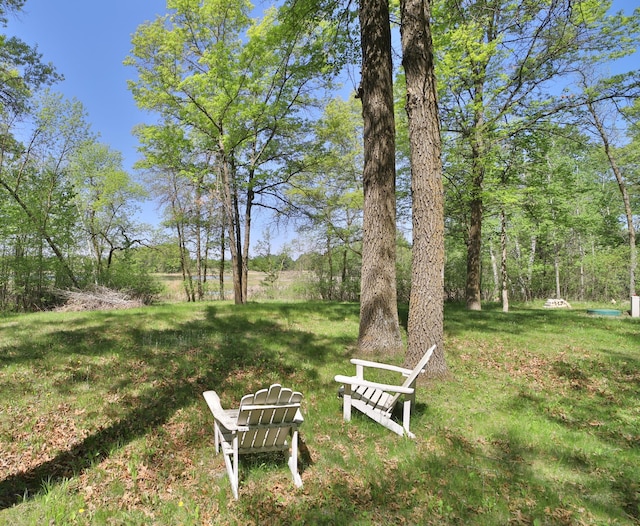 28435 392nd St, Browerville, MN 56438 - view of grassy yard