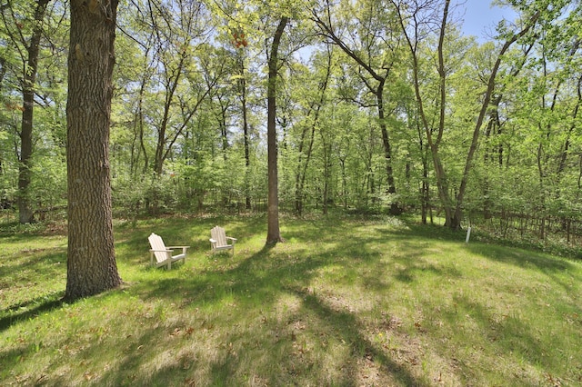 28435 392nd St, Browerville, MN 56438 - view of grassy yard with a view of trees