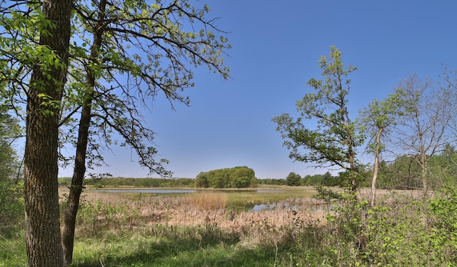 28435 392nd St, Browerville, MN 56438 - view of local wilderness with a nearby body of water