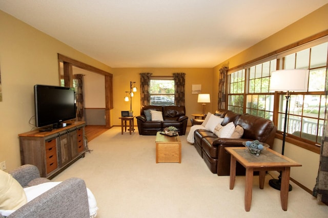 196 Mary Cir, North Mankato, MN 56003 - living room featuring light colored carpet