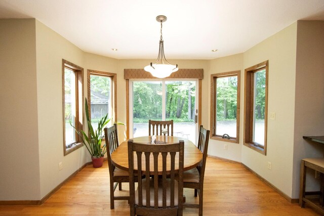 196 Mary Cir, North Mankato, MN 56003 - dining room with light wood-style flooring and baseboards