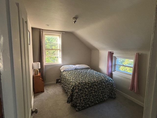 2428 14th Ave E, North Saint Paul, MN 55109 - carpeted bedroom featuring multiple windows and lofted ceiling