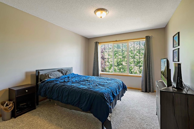 5901 106th Ave N, Brooklyn Park, MN 55443 - carpeted bedroom with a textured ceiling and baseboards