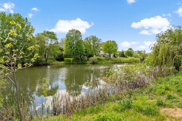 5901 106th Ave N, Brooklyn Park, MN 55443 - water view