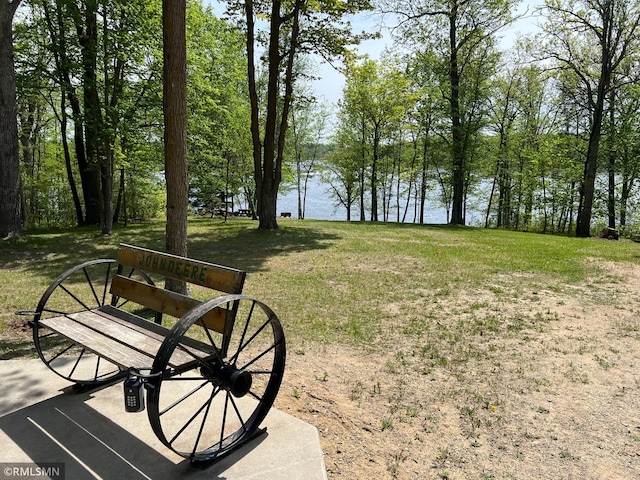view of grassy yard featuring a water view