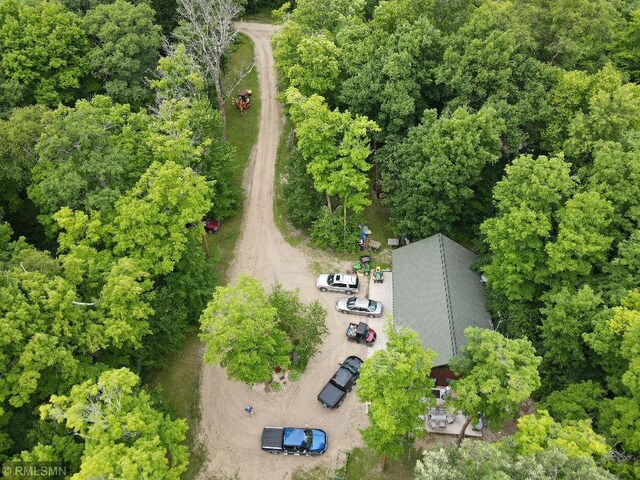 bird's eye view