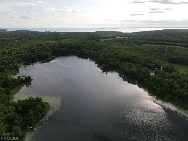 drone / aerial view of a forest and a nearby body of water