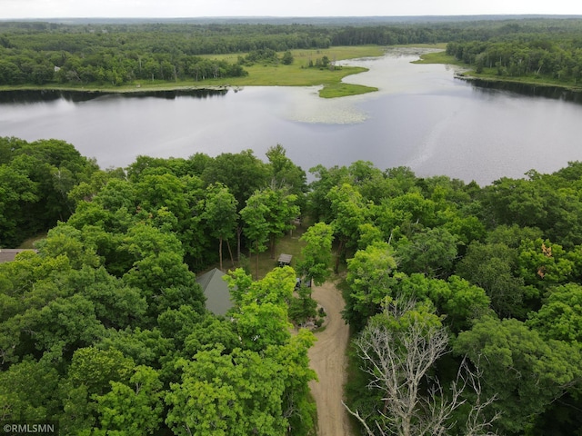 aerial view of a large body of water and a forest