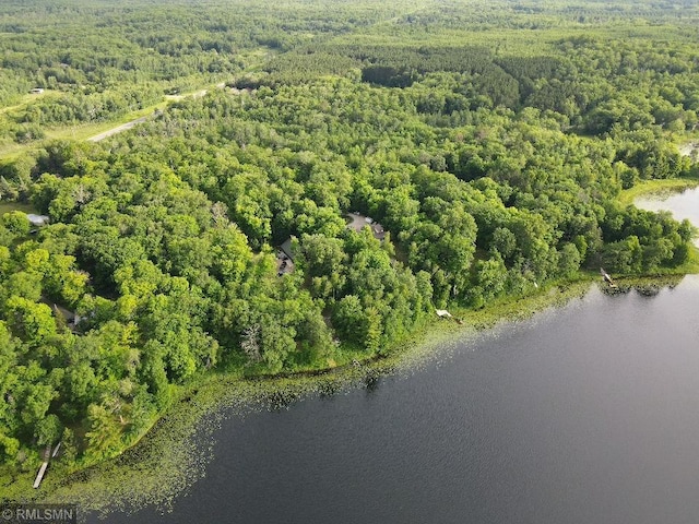 aerial view of a large body of water and a forest