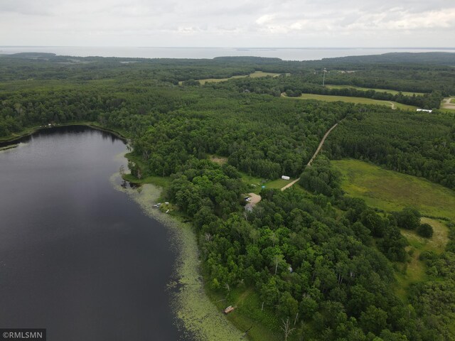 drone / aerial view of a forest and a nearby body of water