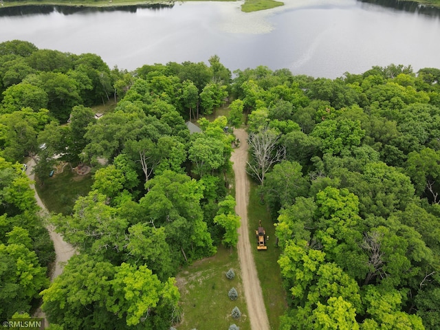 drone / aerial view of a large body of water