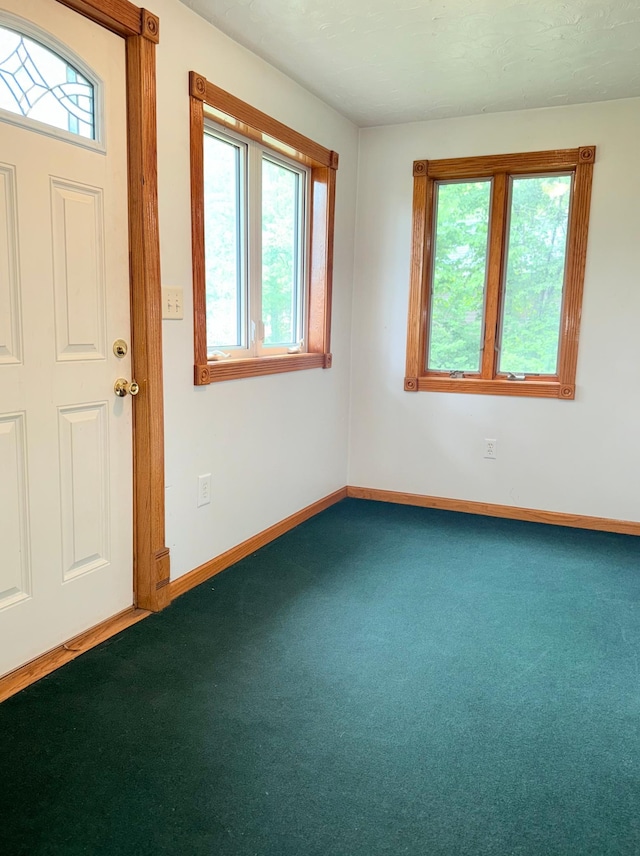 441 Minnesota Ave, Big Lake, MN 55309 - entryway featuring carpet and baseboards