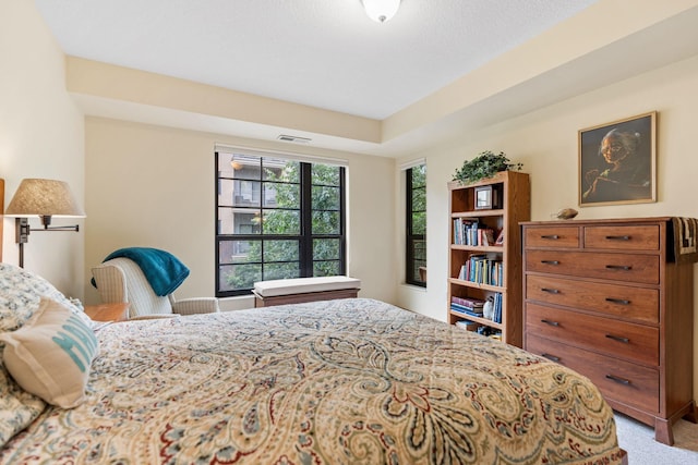 2565 Franklin Ave Unit 211, Saint Paul, MN 55114 - bedroom featuring carpet