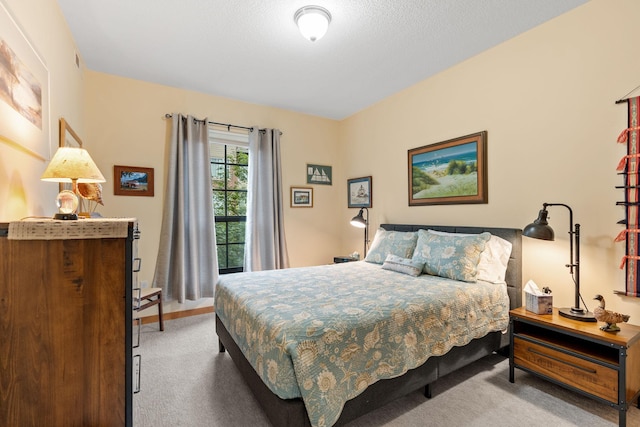 2565 Franklin Ave Unit 211, Saint Paul, MN 55114 - bedroom with carpet floors and baseboards