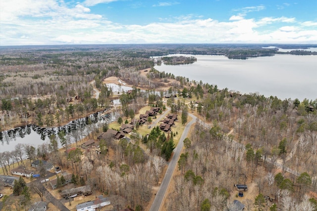 aerial view of property and surrounding area with a nearby body of water and a forest