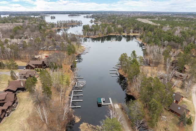 aerial overview of property's location with a large body of water and a heavily wooded area