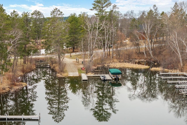 dock featuring a water view