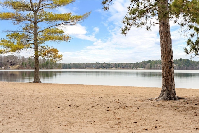 water view with a heavily wooded area