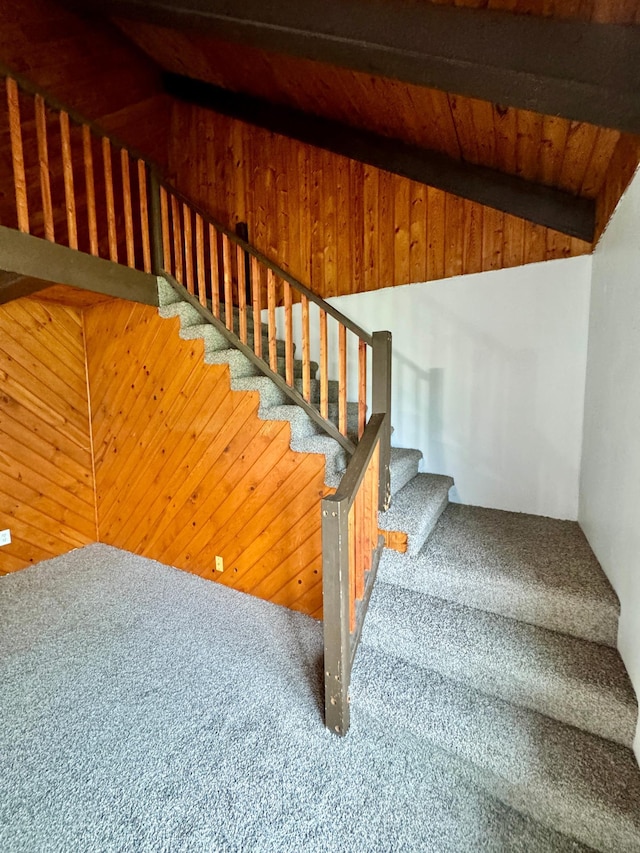 56279 350th St, Warroad, MN 56763 - stairs featuring carpet floors