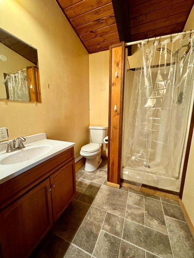56279 350th St, Warroad, MN 56763 - full bathroom featuring wooden ceiling, toilet, vanity, vaulted ceiling, and a shower stall