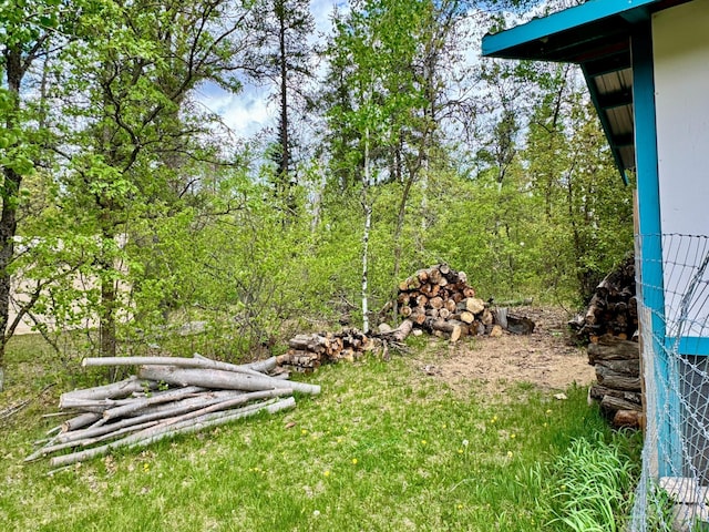 56279 350th St, Warroad, MN 56763 - view of yard