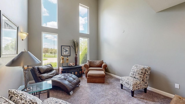 610 Main St, Adams, MN 55909 - living area with carpet floors, plenty of natural light, baseboards, and a high ceiling