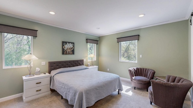 610 Main St, Adams, MN 55909 - bedroom featuring light colored carpet, multiple windows, baseboards, ornamental molding, and recessed lighting