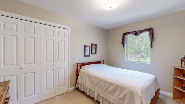 610 Main St, Adams, MN 55909 - bedroom featuring light colored carpet, a closet, and baseboards