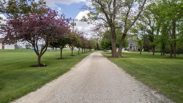 610 Main St, Adams, MN 55909 - view of dirt / gravel driveway