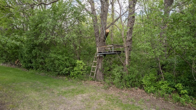 610 Main St, Adams, MN 55909 - view of yard featuring a view of trees