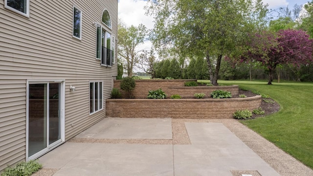 610 Main St, Adams, MN 55909 - view of patio