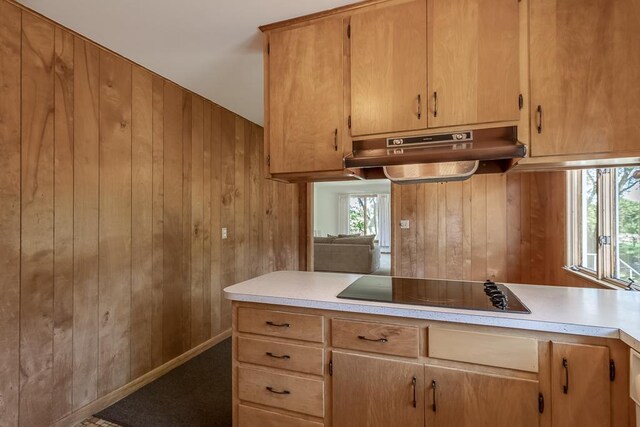 468 Washington St, Le Center, MN 56057 - kitchen with wooden walls, under cabinet range hood, light countertops, and black electric stovetop