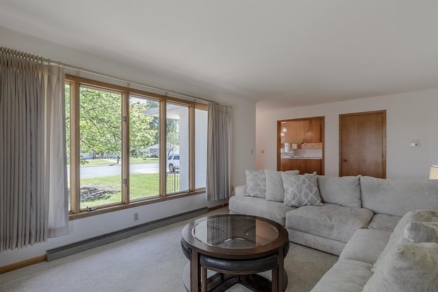 468 Washington St, Le Center, MN 56057 - living area with baseboard heating, light colored carpet, and baseboards