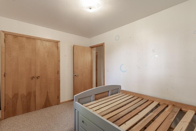 468 Washington St, Le Center, MN 56057 - bedroom with a closet and carpet flooring
