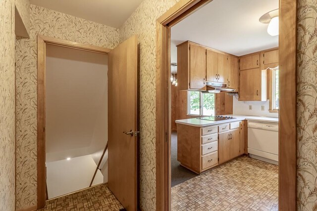 468 Washington St, Le Center, MN 56057 - kitchen with white dishwasher, under cabinet range hood, plenty of natural light, light countertops, and wallpapered walls