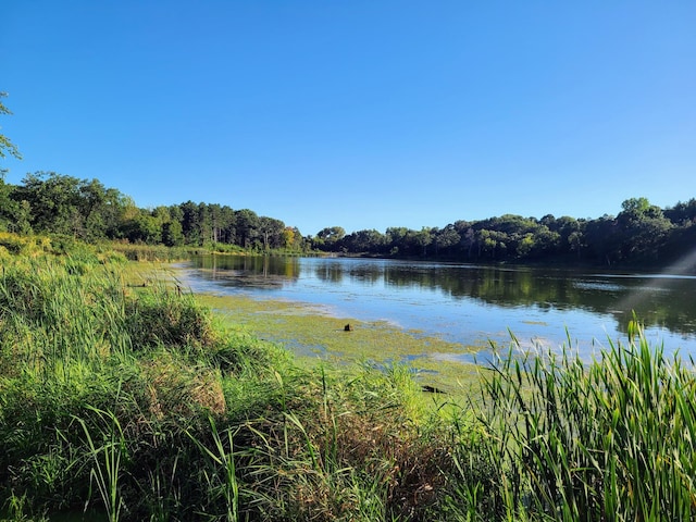 8852 Jorgensen Ave S, Cottage Grove, MN 55016 - water view featuring a heavily wooded area